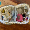 Trousse Or Dare – Image 4